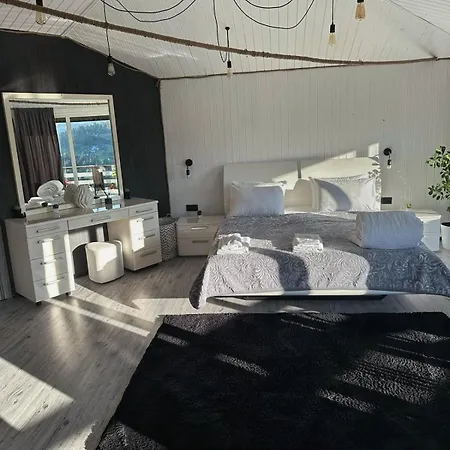 порядна ґаздиня