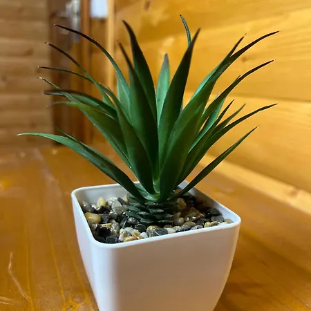 Ξενοδοχείο порядна ґаздиня