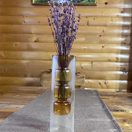 порядна ґаздиня *