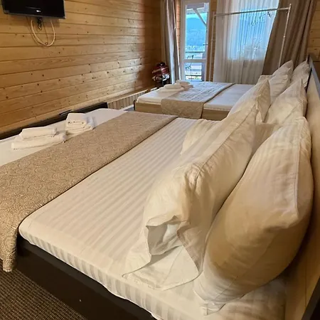 酒店 порядна ґаздиня *